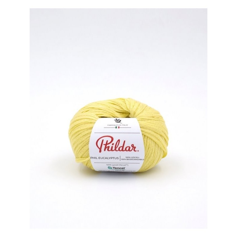 Phildar knitting yarn Phil Eucalyptus Zeste