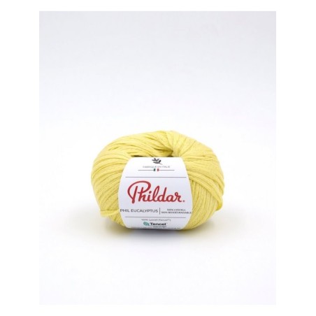 Phildar knitting yarn Phil Eucalyptus Zeste