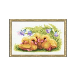 Riolis Embroidery kit Funny Ducklings