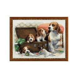 Riolis Kit de broderie Famille canine