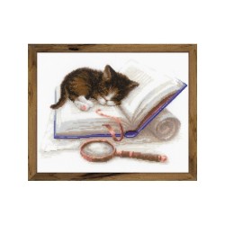 Riolis Stickset Kätzchen auf dem Buch