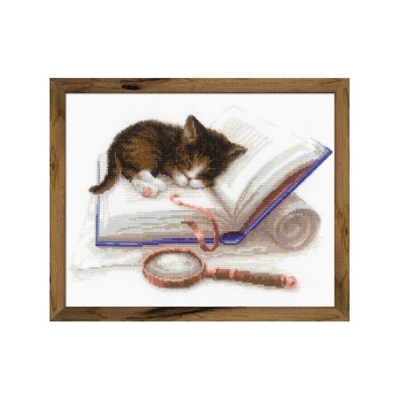 Riolis Embroidery kit Kitten on the Book