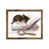 Riolis Borduurpakket Kitten op het boek