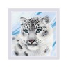 Riolis Embroidery kit Snow Leopard