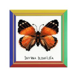 Riolis Stickset Nymphalidae-Schmetterling