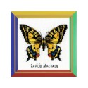 Riolis Stickset Schwalbenschwanz-Schmetterling