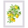 Riolis Embroidery kit Bright Lemons
