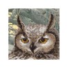 Riolis Embroidery kit Eagle Owl