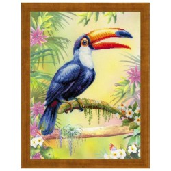 Riolis Embroidery kit Toucan