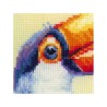 Riolis Embroidery kit Toucan