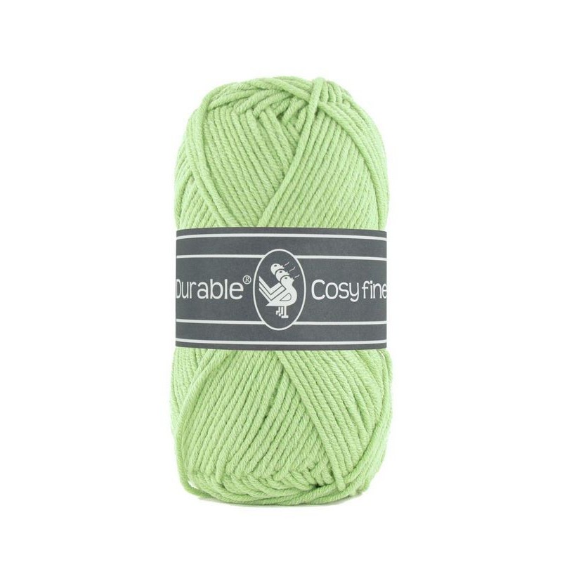Laine à tricoter Durable Cosy Fine 2158 light green