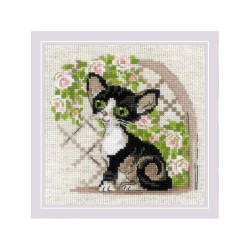 Riolis Embroidery kit Cornish Rex Kitten