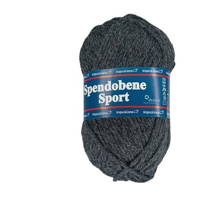 Spendobene Sport 313