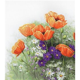 Embroidery kit Luca-S Poppies 5