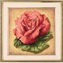 Embroidery kit Rose