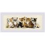 Kit de broderie Chatons