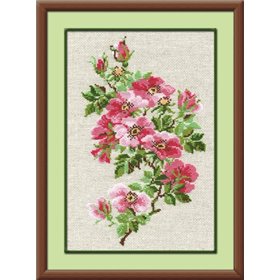 Embroidery kit May Wild Rose