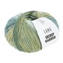 Knitting yarn Lang yarns Secret Garden 007