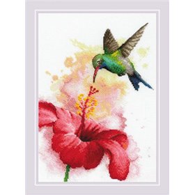 Riolis Stickset Kolibri