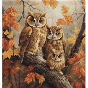 Embroidery kit The Owls Family