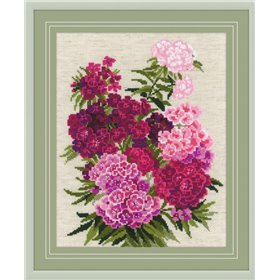 Embroidery kit Sweet William