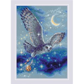 Embroidery kit Magic Owl