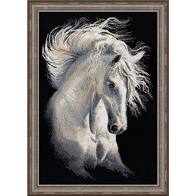 Embroidery kit Andalusian character