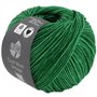 Cool Wool Vintage Patina groen 7380