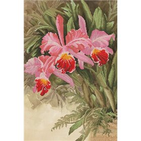 Kit de broderie Orchidée tropicale