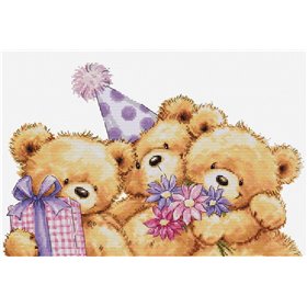 Embroidery kit Three Party Bears