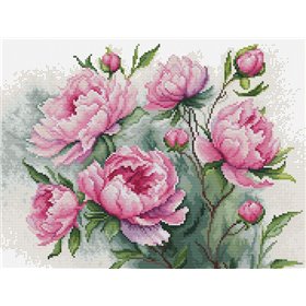 Embroidery kit The Charm of Peonies