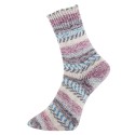 Sock yarn Pro Lana Alicante 8-02