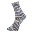 Sock yarn Pro Lana Alicante 8-04