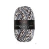 Sock yarn Pro Lana Alicante 8-04