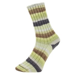 Sockenwolle Pro Lana Golden Socks Tannheim 5 190.06