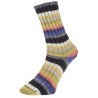 Sockenwolle Pro Lana Golden Socks Tannheim 5 190.07