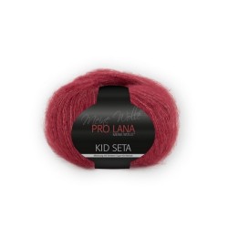 Knitting yarn Pro Lana Kid Seta 31