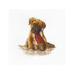 Luca-S embroidery kit The Boxer