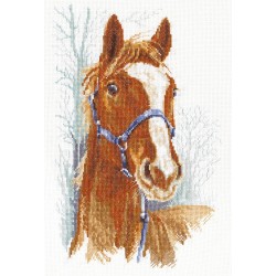 Panna Embroidery kit Orlik the Horse